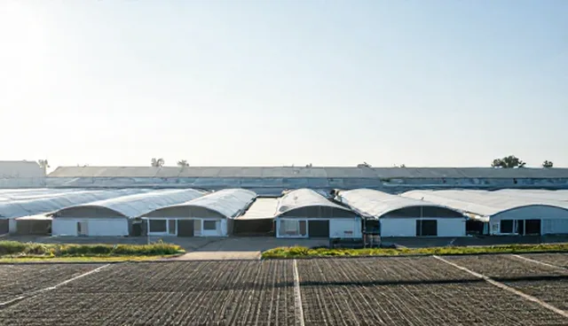 哈尔滨高端网站建设：如何通过采购政策实现网站优化
