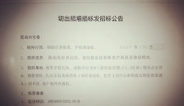 误区澄清:服务外包采购政策执行中常见的误解