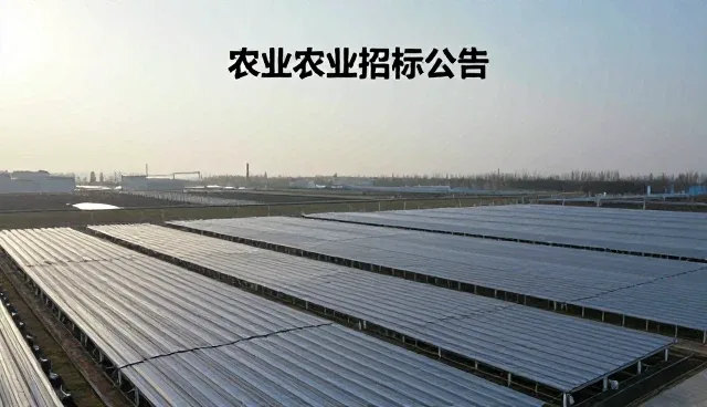 招标公告发布如何影响服务外包采购效果
